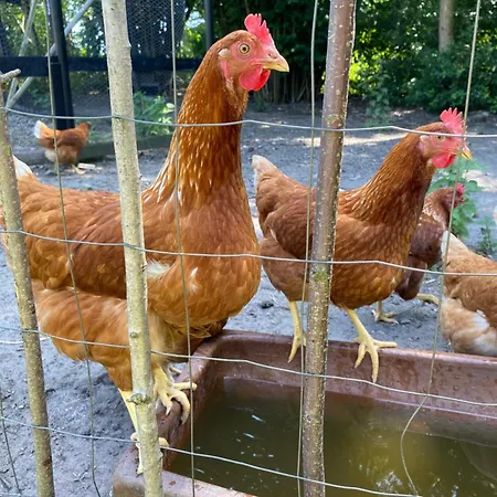 לינה וארוחת בוקר Frederiksensminde