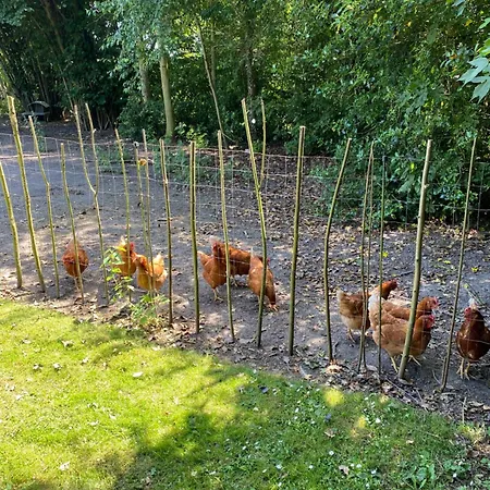 Frederiksensminde לינה וארוחת בוקר Marrebæk