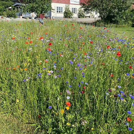 Frederiksensminde 3*