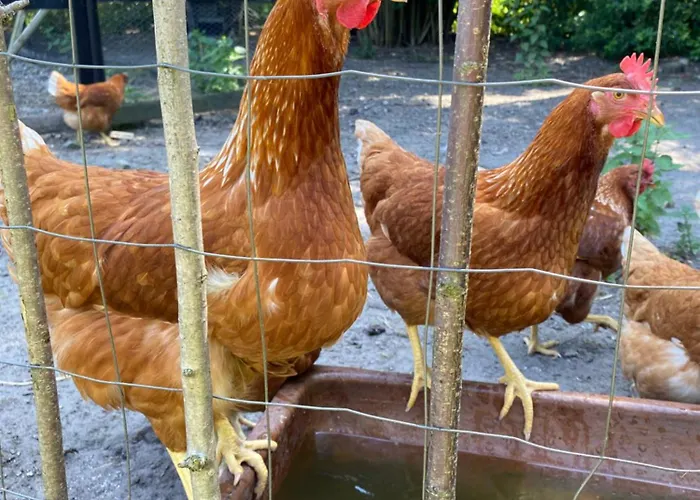 Frühstückspension Frederiksensminde