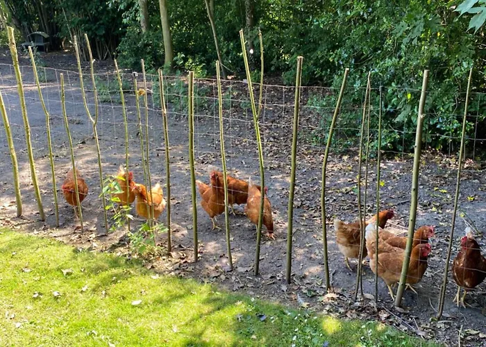 Frederiksensminde Frühstückspension Marrebæk
