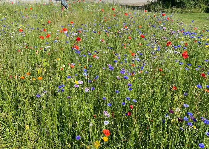 Frederiksensminde 3*